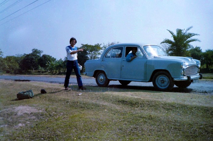 My beautiful picture