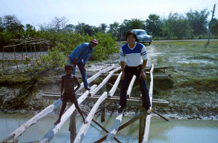 My beautiful picture