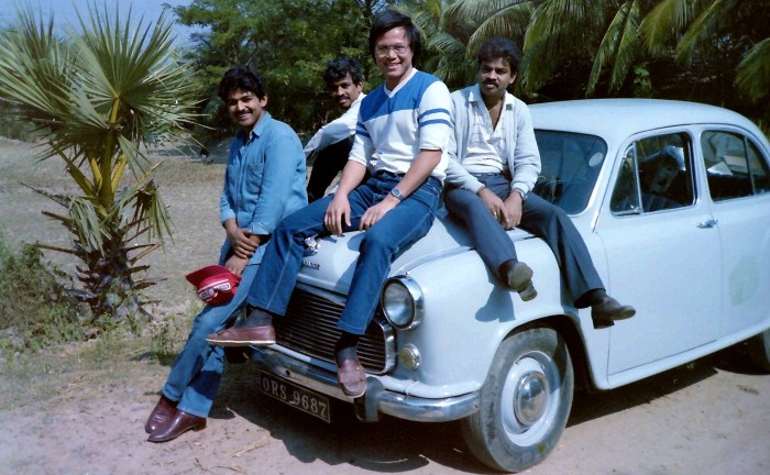 My beautiful picture