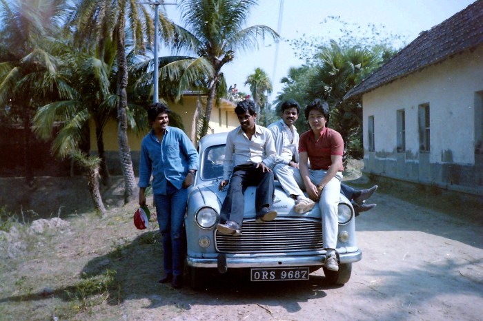 My beautiful picture