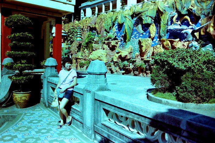 My beautiful picture