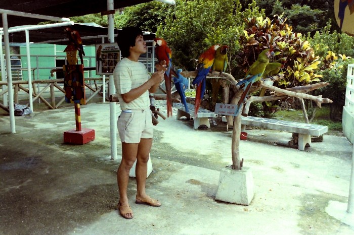 My beautiful picture