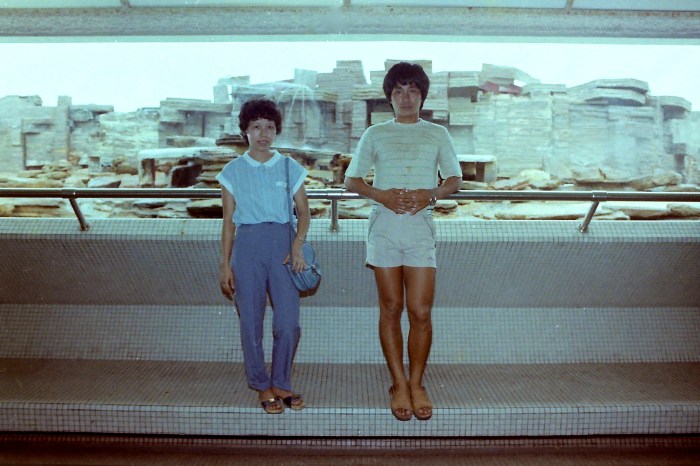 My beautiful picture