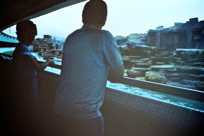 My beautiful picture