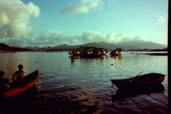 My beautiful picture