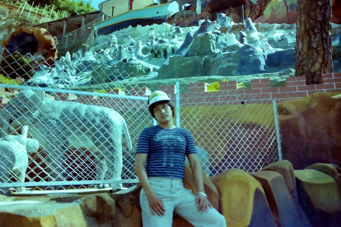 My beautiful picture