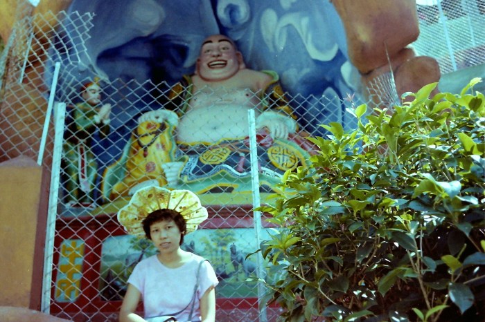 My beautiful picture