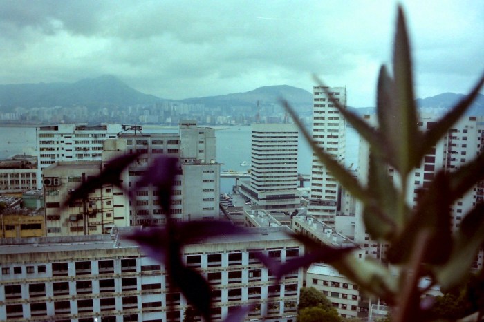 My beautiful picture