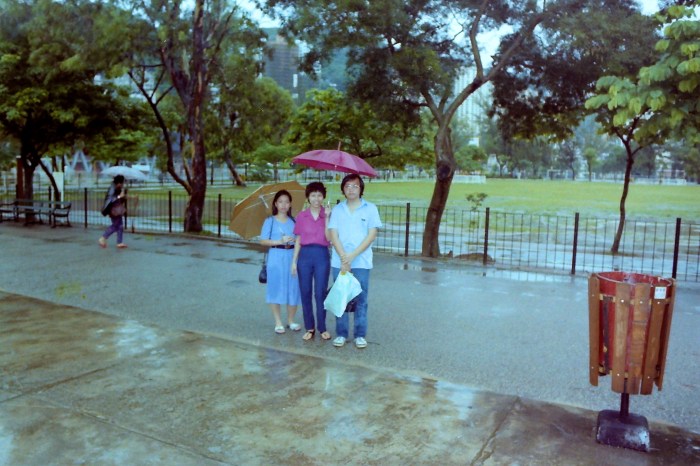 My beautiful picture