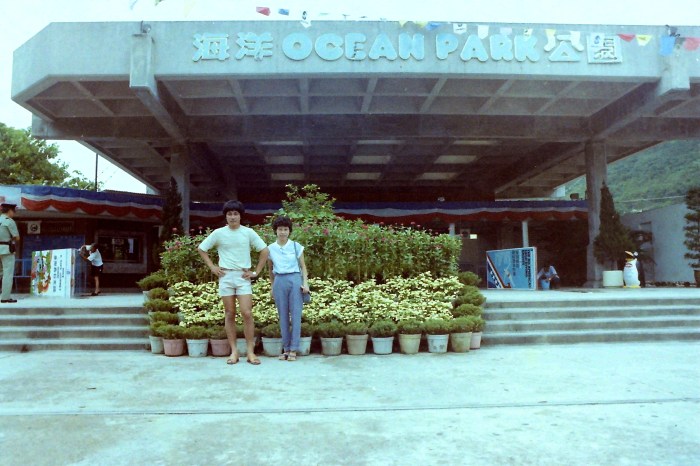 My beautiful picture