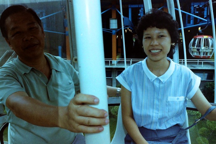 My beautiful picture